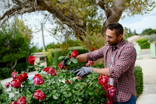Local gardener speaking with a resident to arrange accessible service