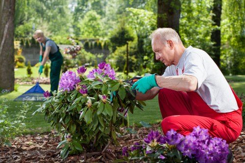 Final inspection by a gardener ensuring safety measures are in place