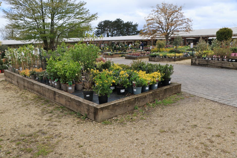 A garden scene showcasing the front of a shopfront at the Elmsleigh Centre, where a team of local gardeners is performing landscape maintenance. The garden features neatly trimmed bushes and hedges, w