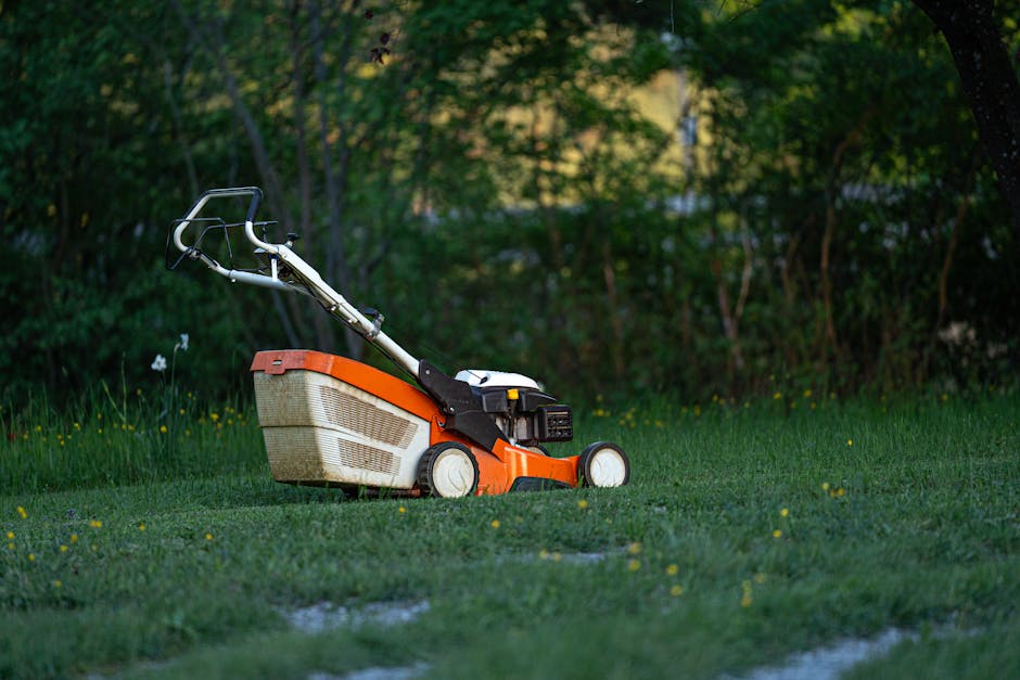 A close-up view of an orange and white electric lawn mower resting on a lush green lawn, with a background of trees and dense foliage. The mower features a black handlebar extending upwards, equipped 