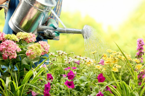 A close-up view of a gardener's hands wearing gardening gloves, watering a vibrant flower bed with a silver metal watering can. The flower bed contains a variety of colorful flowering plants, including pink hydrangeas, purple petunias, and yellow blooms, set against lush green foliage. The scene appears to be outdoors in a well-maintained garden, with sunlight illuminating the flowers and creating a bright, cheerful atmosphere. The background features blurred greenery, suggesting a healthy, managed outdoor space suitable for gardening services in Staines. The gardener is actively watering, highlighting routine plant care within a landscaped garden environment.