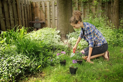 A young woman with brown hair tied back, wearing a blue plaid shirt and dark jeans, is kneeling on a lush green lawn in a garden, actively watering small potted plants with purple flowers near a wooden fence. The garden features a variety of plants, including tall green grasses, leafy shrubs, and a bed of white flowers, with a mature tree trunk in the background. The scene is set outdoors on a cloudy day, with natural light illuminating the vibrant foliage and the well-maintained lawn, reflecting typical gardening activities in a residential outdoor space, possibly in Staines, and illustrating professional gardening service practices for nurturing and landscaping outdoor areas.